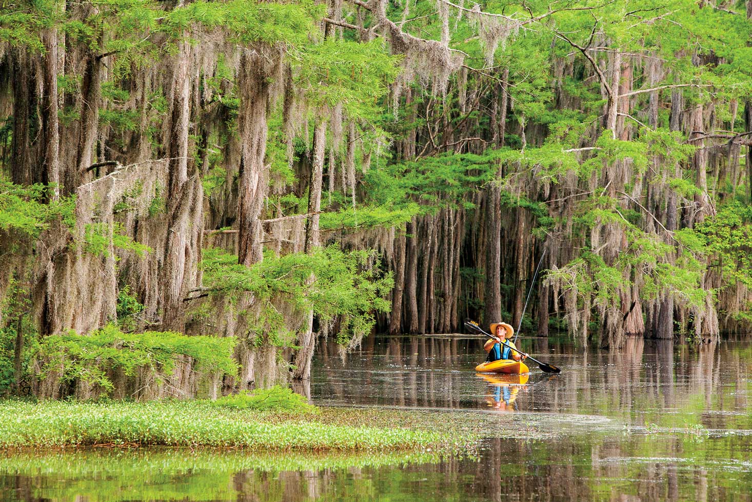 RV Depot - A Canoe Exploration of Caddo Lakes Creatures and History A Canoe Exploration of Caddo Lake’s Creatures and History